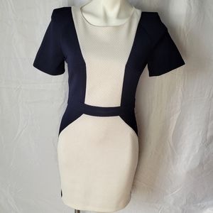 Navy and White Sheath Dress